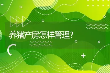 养猪产房怎样管理？