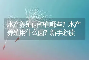 水产养殖菌种有哪些？水产养殖用什么菌？新手必读