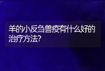 羊的小反刍兽疫有什么好的治疗方法？