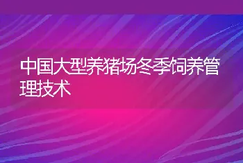 中国大型养猪场冬季饲养管理技术