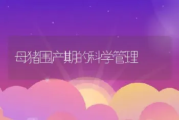 母猪围产期的科学管理