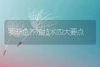 罗非鱼养殖技术四大要点