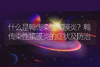 什么是鸭传染性浆膜炎？鸭传染性浆膜炎的症状及防治