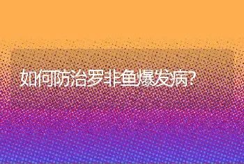 如何防治罗非鱼爆发病？