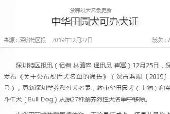 深圳田园犬可办理犬证，我们终于能领证啦!