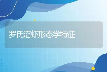 林蛙养殖的清整和改善水体环境