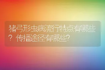 猪弓形虫病流行特点有哪些？传播途径有哪些？