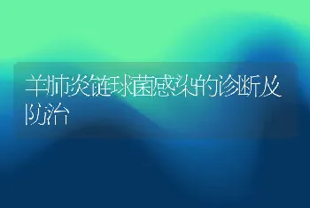 羊肺炎链球菌感染的诊断及防治