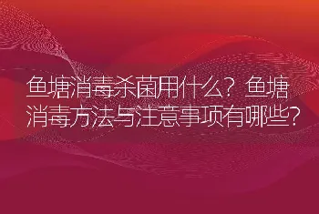 鱼塘消毒杀菌用什么？鱼塘消毒方法与注意事项有哪些？