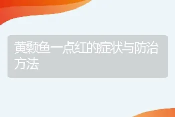 黄颡鱼一点红的症状与防治方法