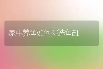 家中养鱼如何挑选鱼缸