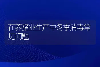 在养猪业生产中冬季消毒常见问题