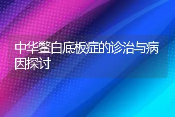 中华鳖白底板症的诊治与病因探讨