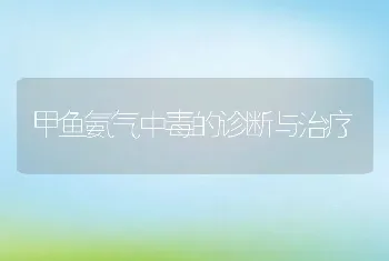 甲鱼氨气中毒的诊断与治疗