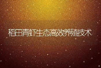 稻田青虾生态高效养殖技术