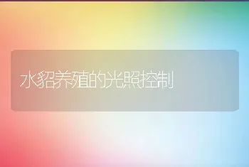 水貂养殖的光照控制