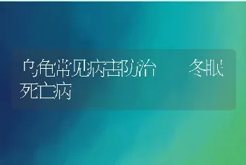 乌龟常见病害防治――冬眠死亡病