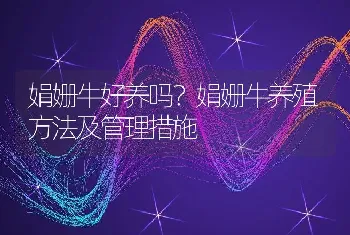 娟姗牛好养吗？娟姗牛养殖方法及管理措施