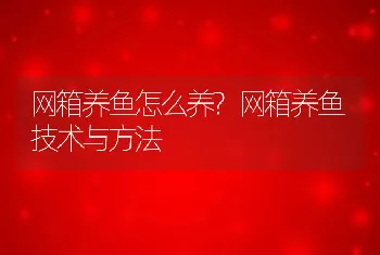 网箱养鱼怎么养?网箱养鱼技术与方法