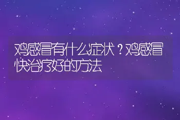 鸡感冒有什么症状？鸡感冒快治疗好的方法