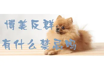 博美反群有什么禁忌吗