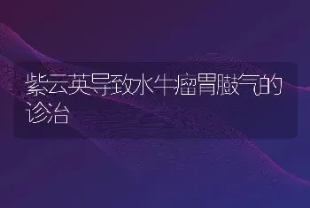 狐病防治技术：狐脐炎