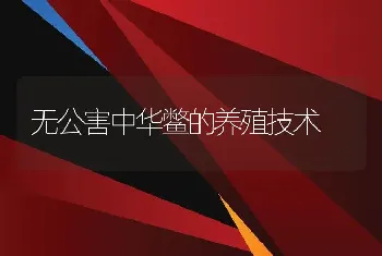 无公害中华鳖的养殖技术