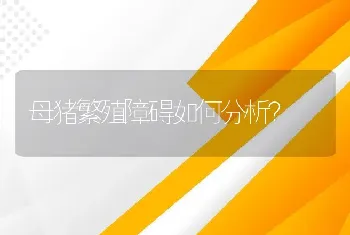 母猪繁殖障碍如何分析？