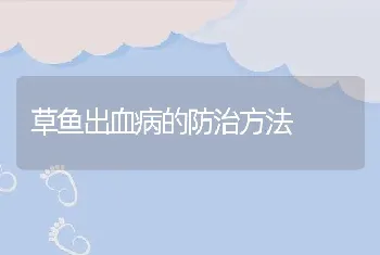 草鱼出血病的防治方法