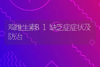 鸡维生素B1缺乏症症状及防治