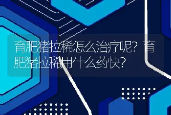 育肥猪拉稀怎么治疗呢？育肥猪拉稀用什么药快？