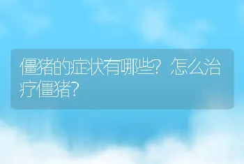 僵猪的症状有哪些?怎么治疗僵猪？