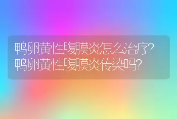 鸭卵黄性腹膜炎怎么治疗？鸭卵黄性腹膜炎传染吗？