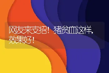 网友来支招！猪贫血这样，效果好！