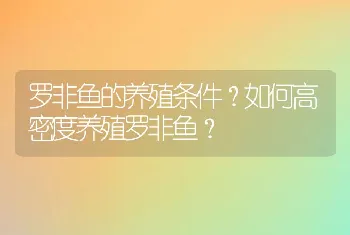 罗非鱼的养殖条件？如何高密度养殖罗非鱼？