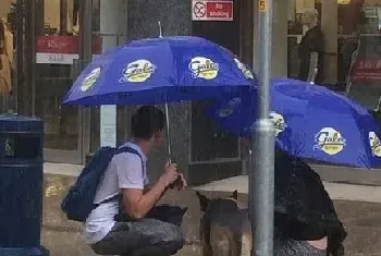 英国一对情侣帮狗遮雨陪20分钟等主人