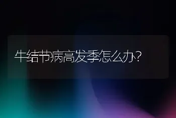 牛结节病高发季怎么办？