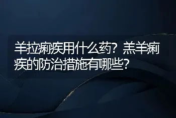 羊拉痢疾用什么药？羔羊痢疾的防治措施有哪些？