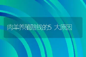 肉羊养殖赔钱的5大原因