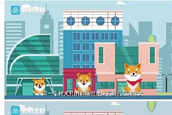 如何挑选纯种犬？纯种犬购买指南（最新版）