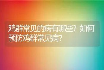 鸡群常见的病有哪些？如何预防鸡群常见病？