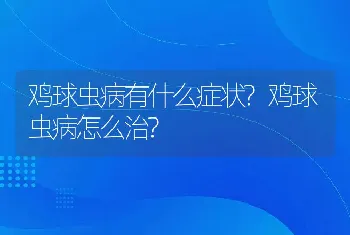 鸡球虫病有什么症状?鸡球虫病怎么治?