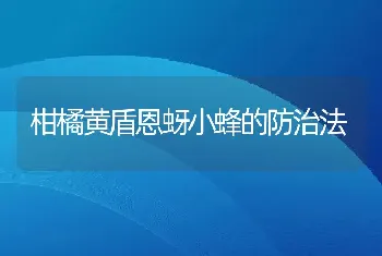 柑橘黄盾恩蚜小蜂的防治法