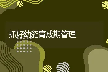 抓好幼貂育成期管理