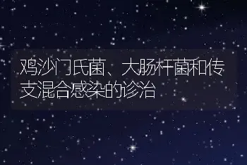 鸡沙门氏菌、大肠杆菌和传支混合感染的诊治