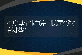 治疗母猪胀气常用抗菌药物有哪些？