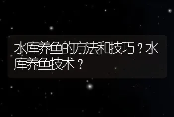 水库养鱼的方法和技巧？水库养鱼技术？