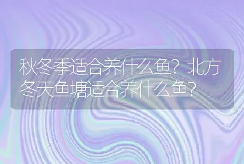 秋冬季适合养什么鱼？北方冬天鱼塘适合养什么鱼？