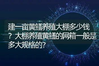 建一亩黄鳝养殖大棚多少钱？大棚养殖黄鳝的网箱一般是多大规格的？