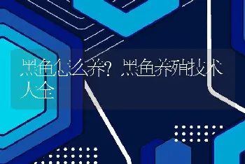 黑鱼怎么养？黑鱼养殖技术大全